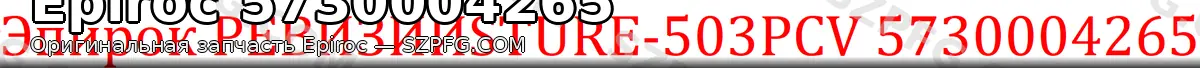 Эпирок РЕВИЗИИSTURE-503PCV 5730004265 - изображение продукта